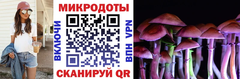 Галлюциногенные грибы MAGIC MUSHROOMS  Старица 